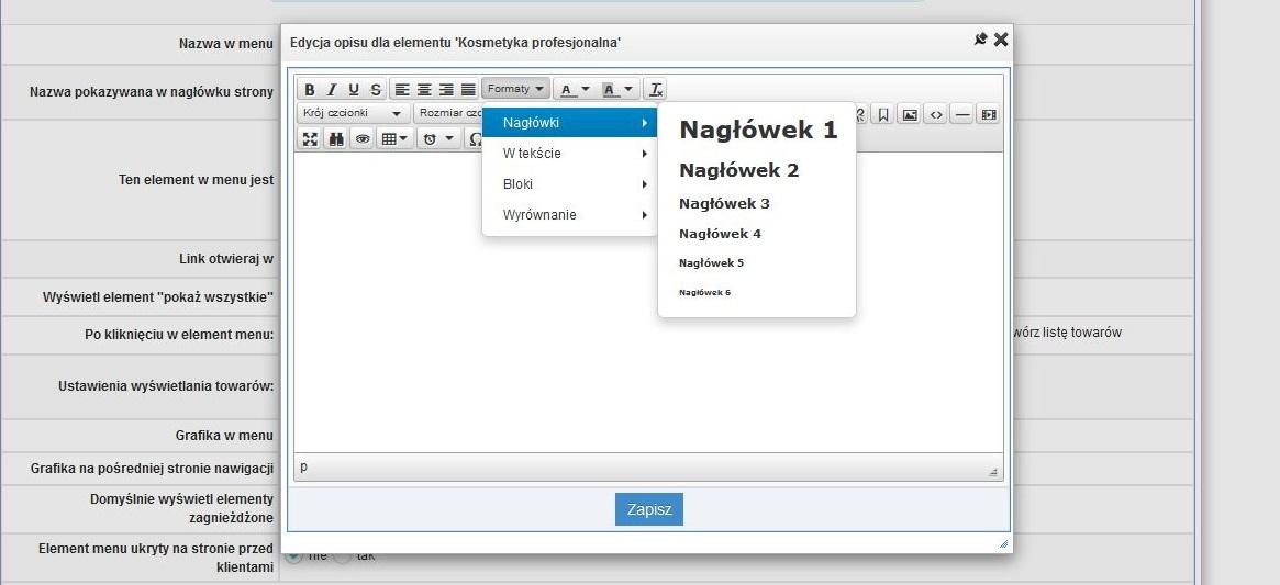 Edytor treści i nagłówki H2/H3 w panelu IdoSell